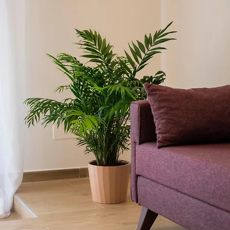 Appartement Gli Archi 2 *